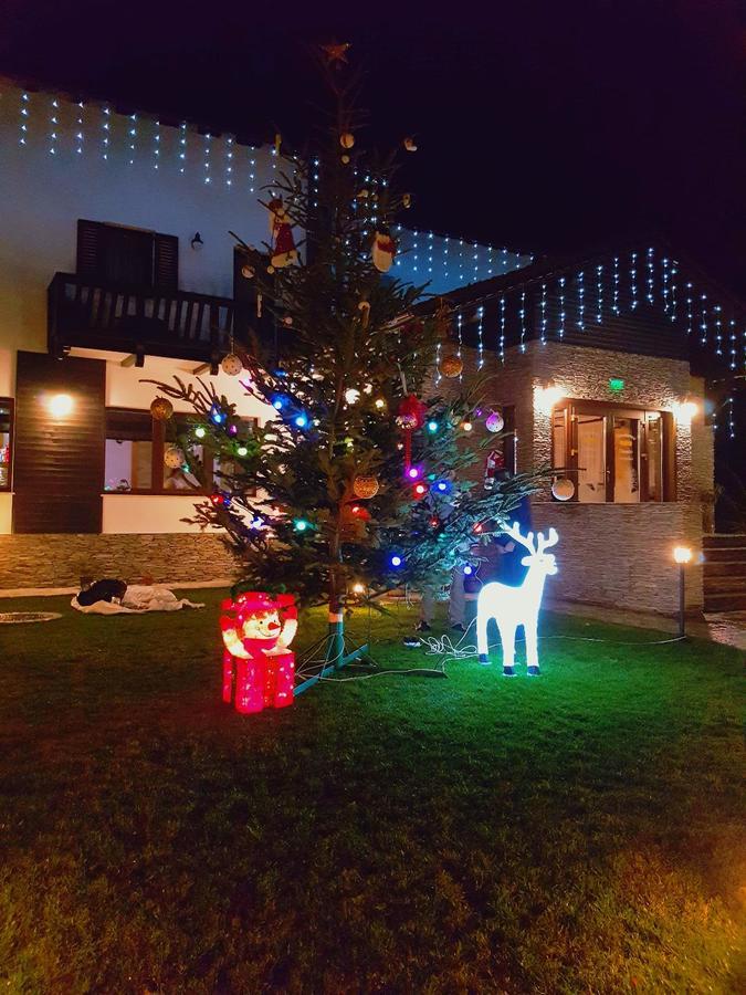 Pensiunea Campia Soarelui Apa Neagra Экстерьер фото